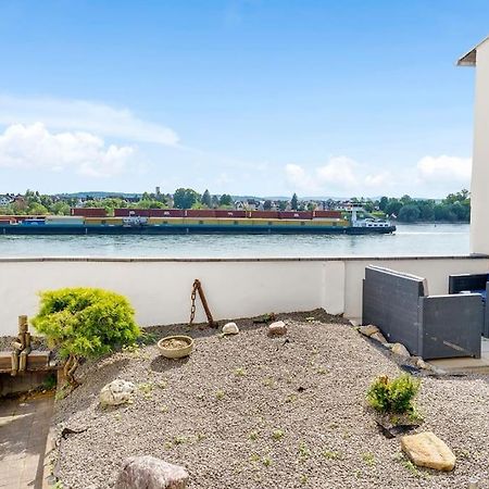 Tiny Apartment With Spacious Terrace On The Rhine Нойвид Экстерьер фото